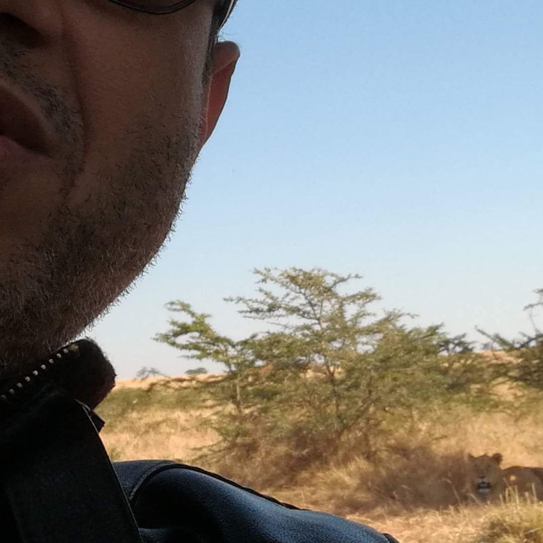 profile