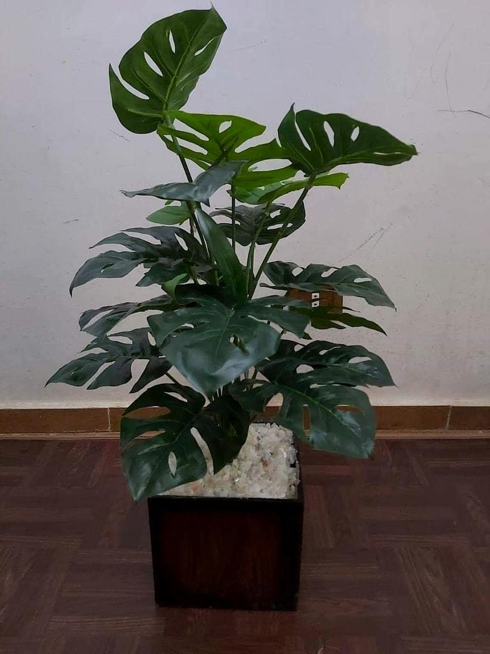 profile