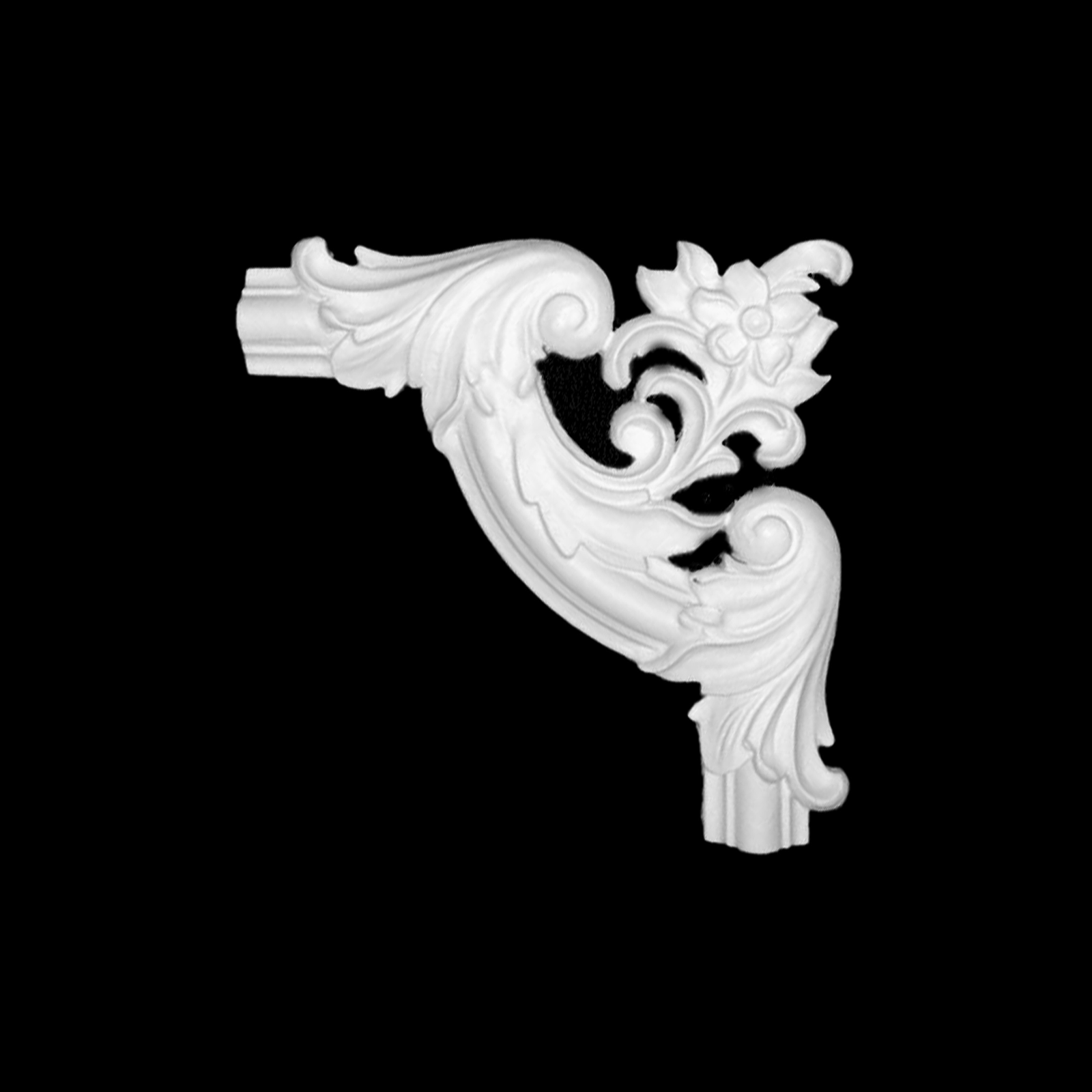 profile