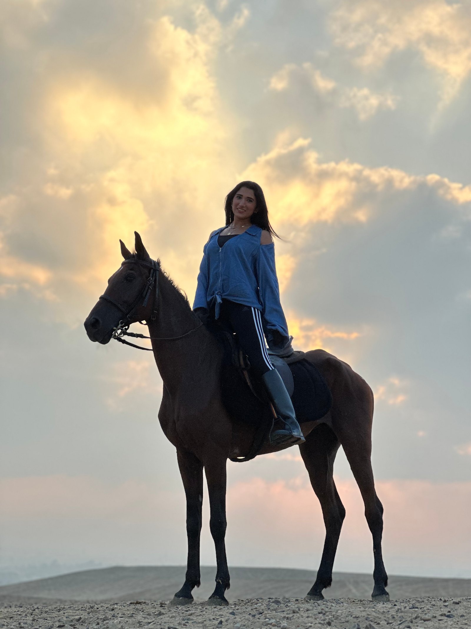 Horseback riding Saqqara