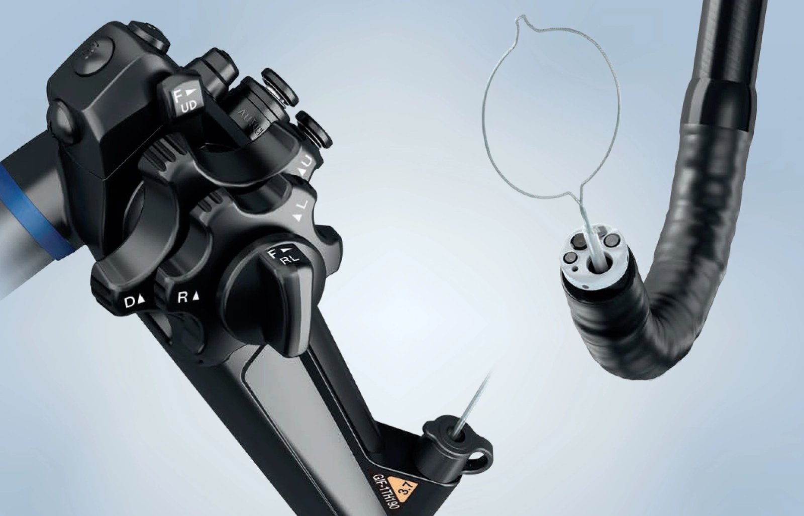 Endoscopy Service and Technical Support