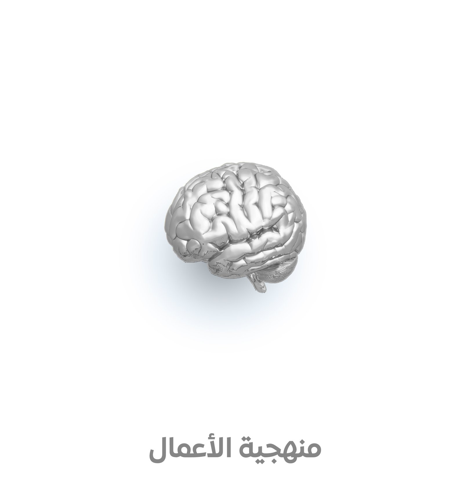 منهجية الأعمال