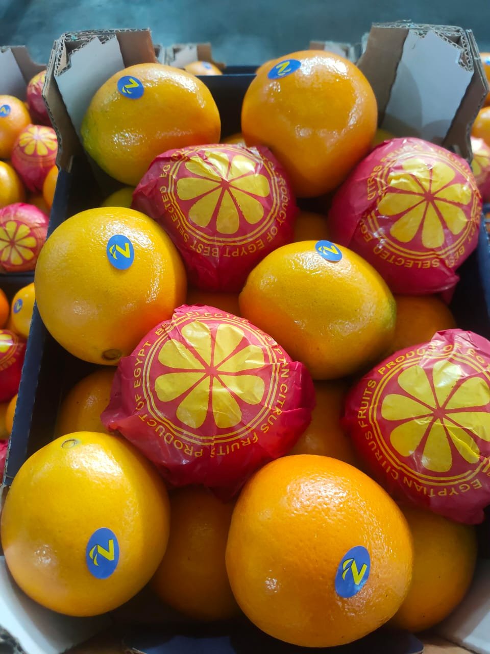 Fresh Vegetables and Fruits