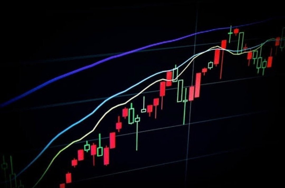 FOREX TRADER