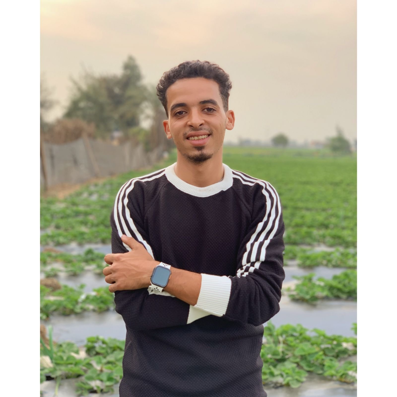 Ahmed