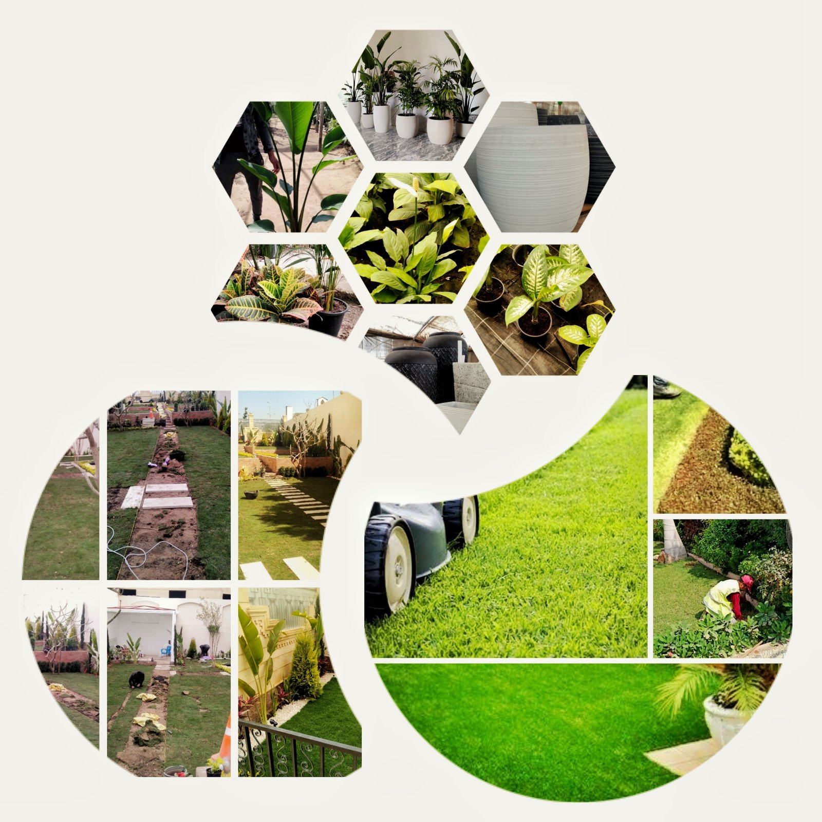 gardens maintenance