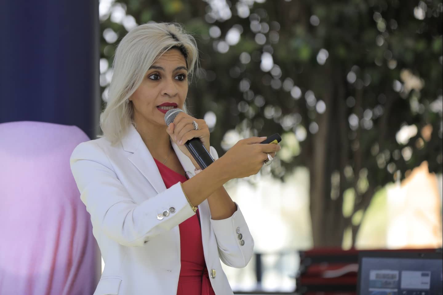 Public Speaking