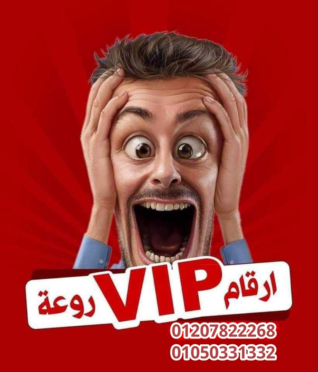 *برايفت نمبر عمرو*