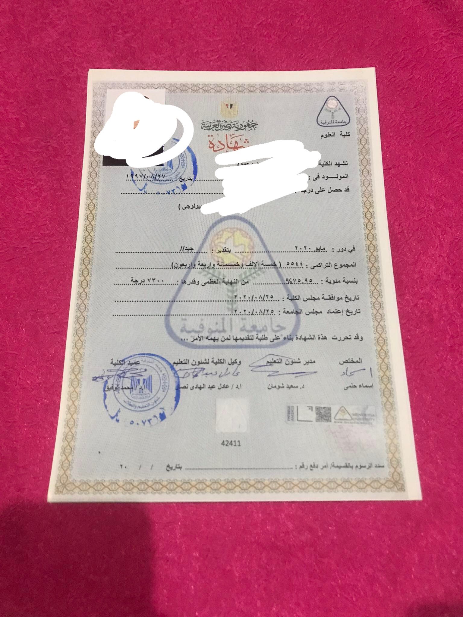 المنوفية