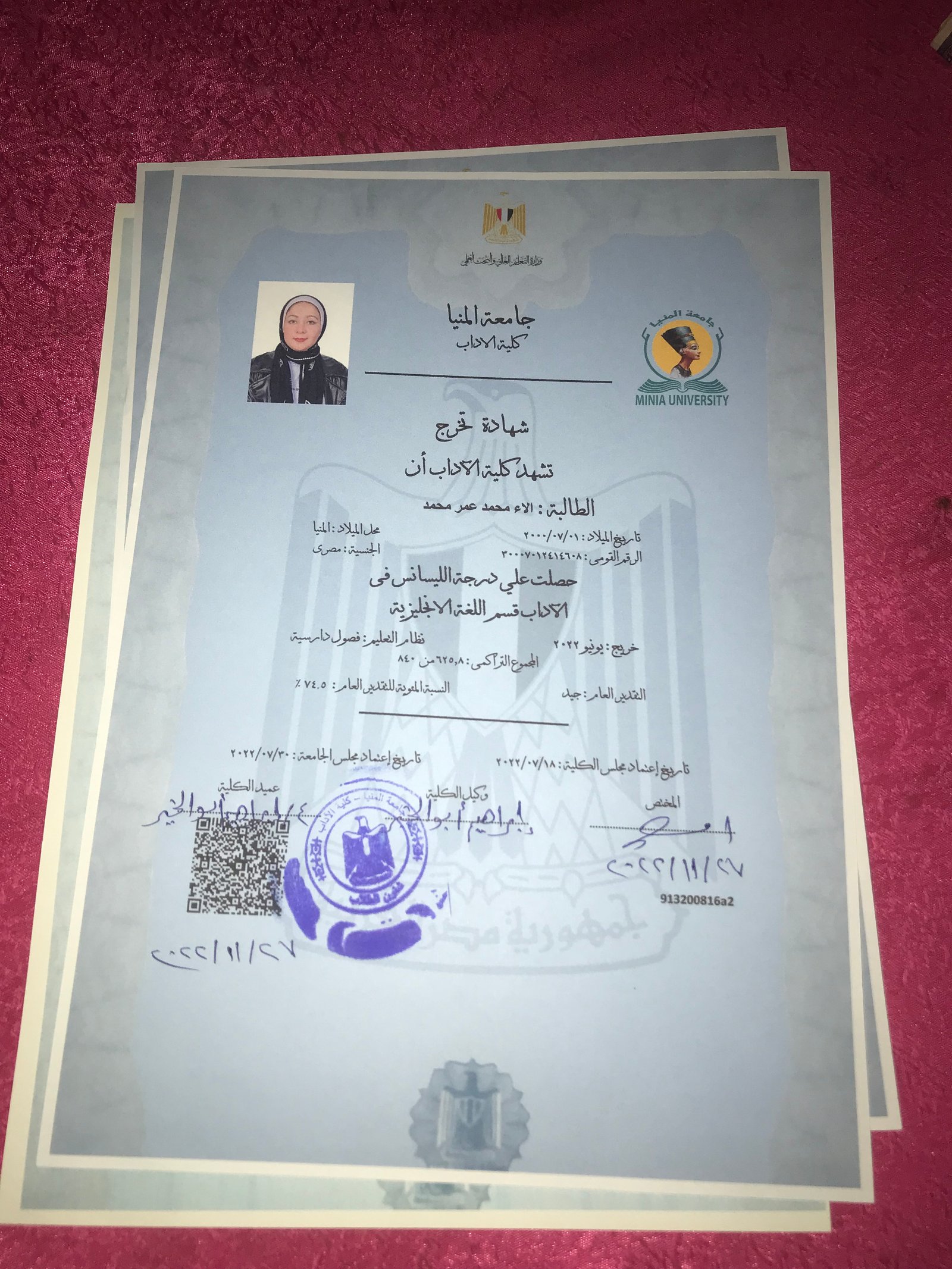 المنيا