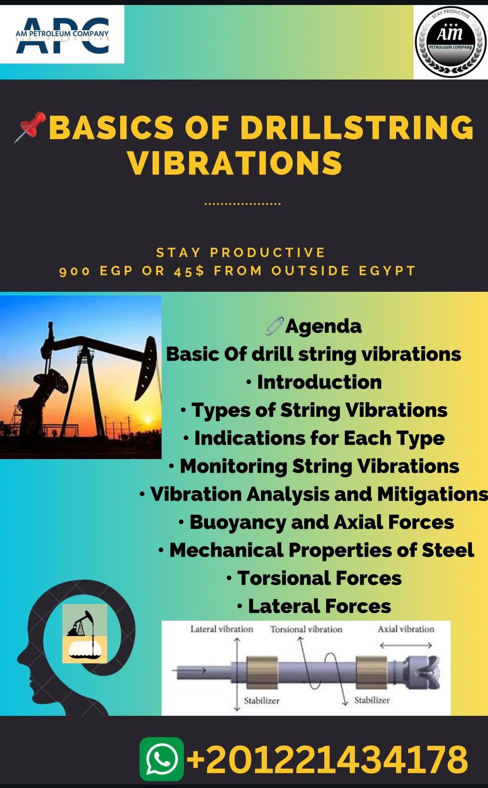 Drill String Vibrations