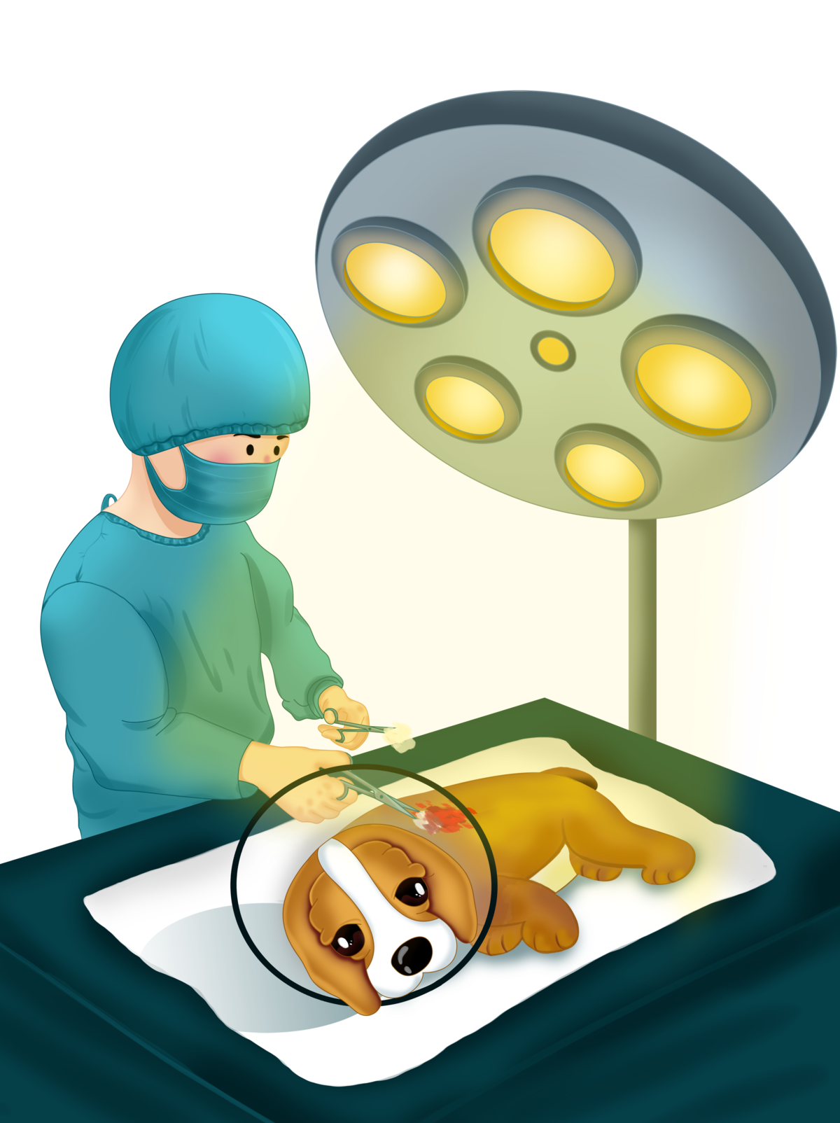 Surgeries