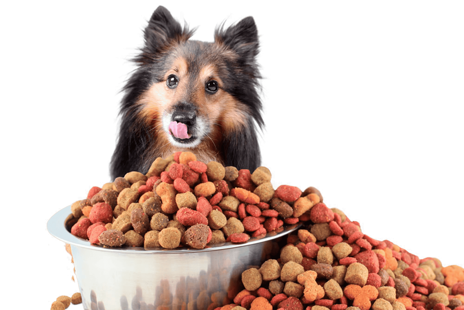Pet Food and Supplies