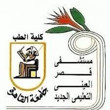 مستشفي قصر العيني التعليمي الجديد (الفرنساوي)