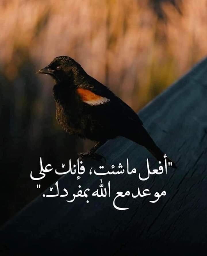 لا تجدلني فيما يخصني