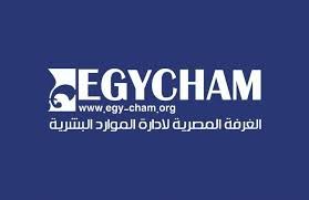 HR Consulting and Restructuring Services