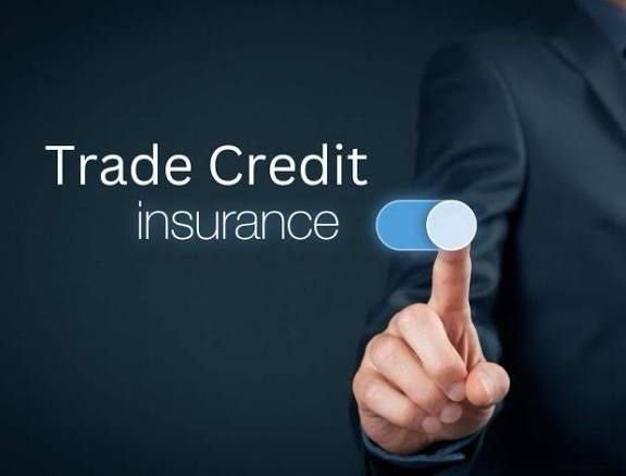 Credit Insurance