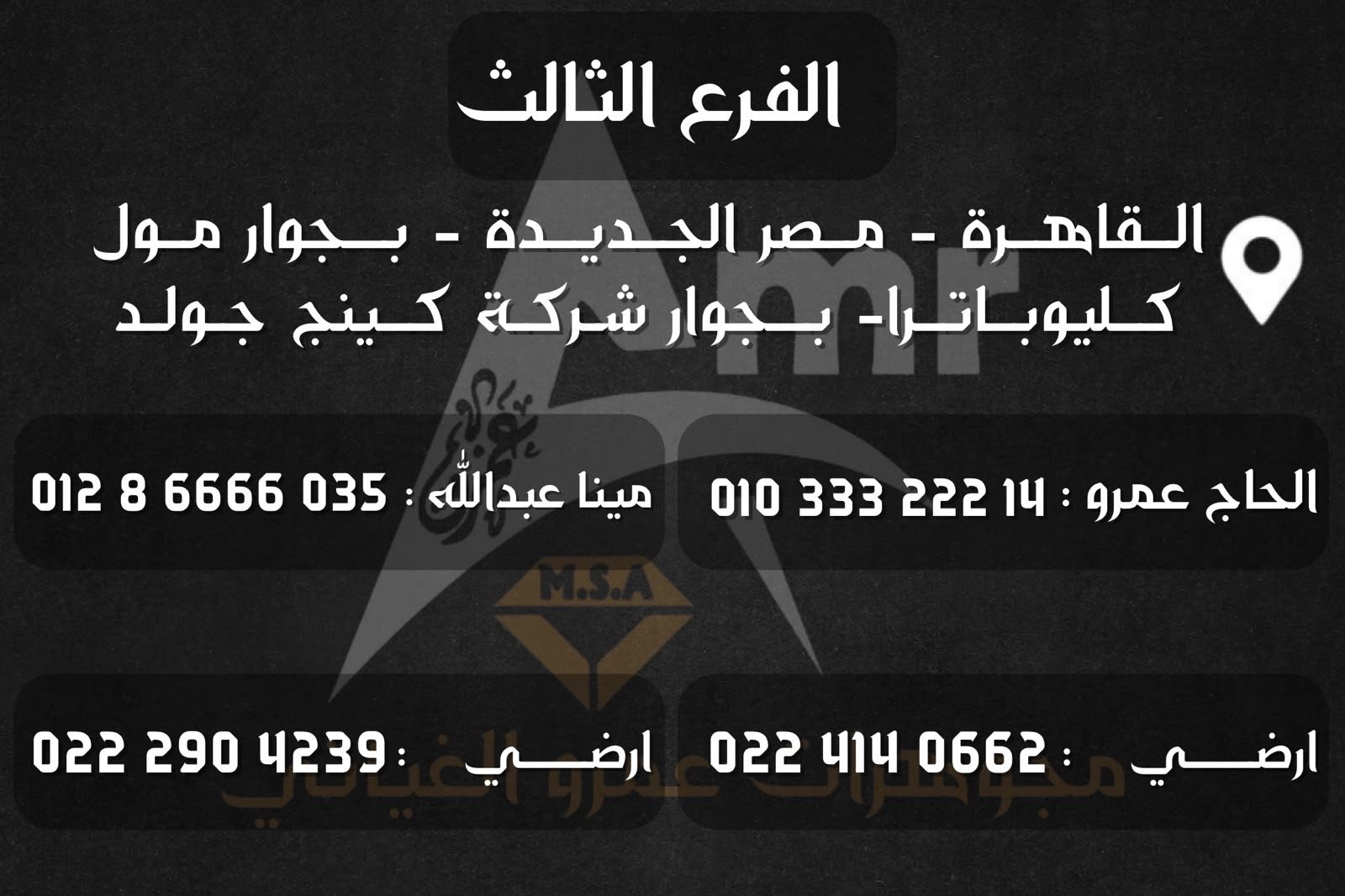 فرع مصر الجديده
