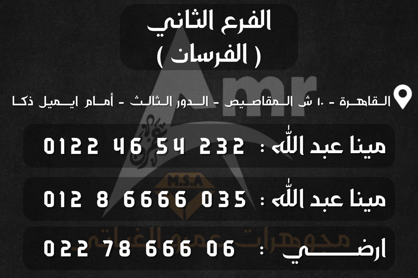 فرع الفرسان